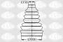 ID1265568_TBL21