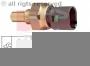 images/stories/virtuemart/product/ID773508_TBL10
