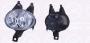PN11640_ID10058