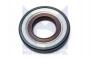 PN12105_ID25797