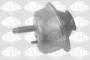 PN1925_ID21921