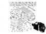 PN19446_ID12778