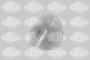 PN25563_ID17491