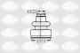 PN28073_ID22195