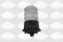 PN29155_ID24331