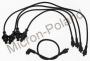 PN3536_ID4411