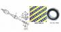 PN5686_ID10089